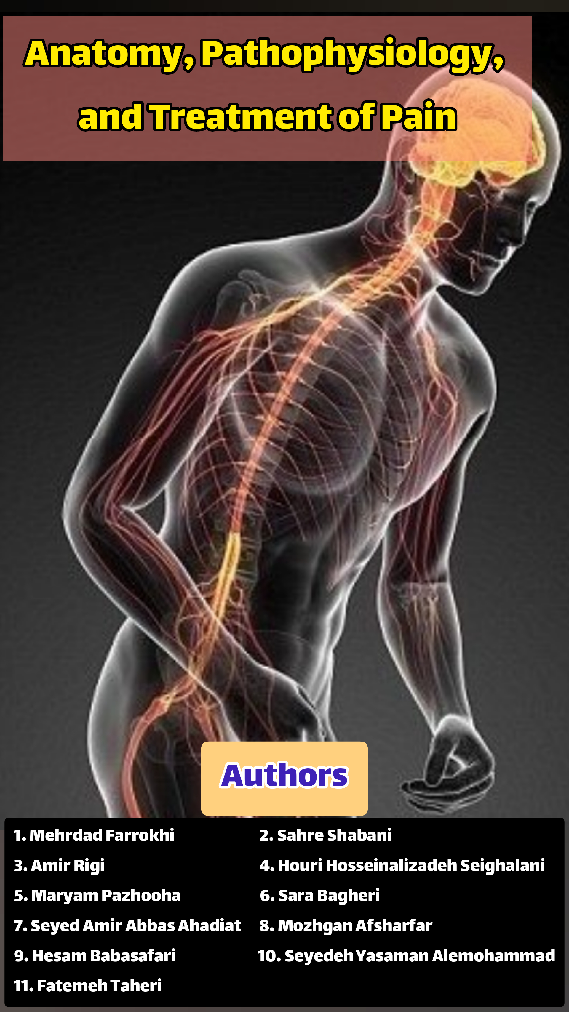 Anatomy, Pathophysiology, and Treatment of Pain